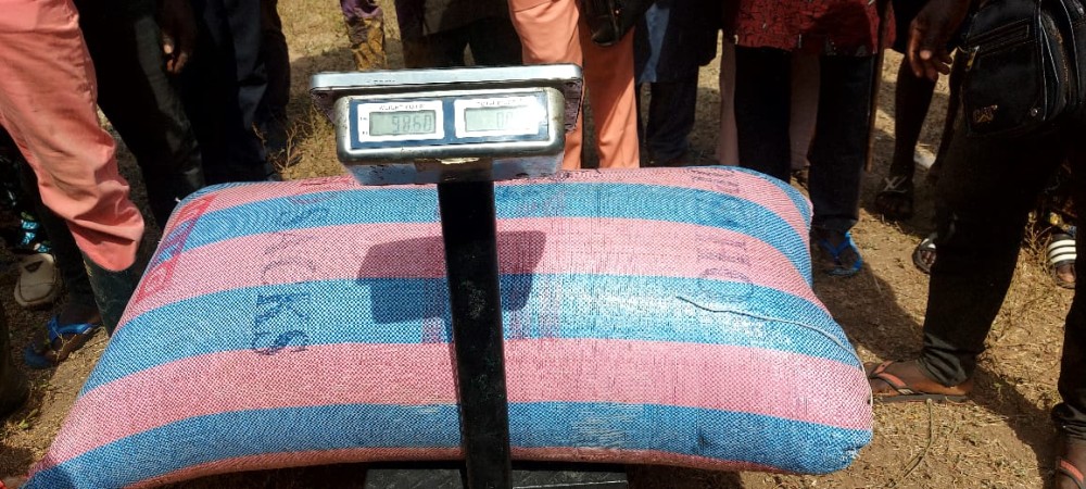 Djougou lance sa première campagne de commercialisation du riz