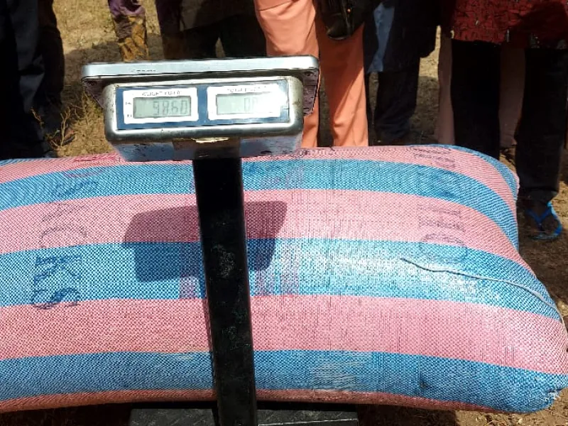 Djougou lance sa première campagne de commercialisation du riz